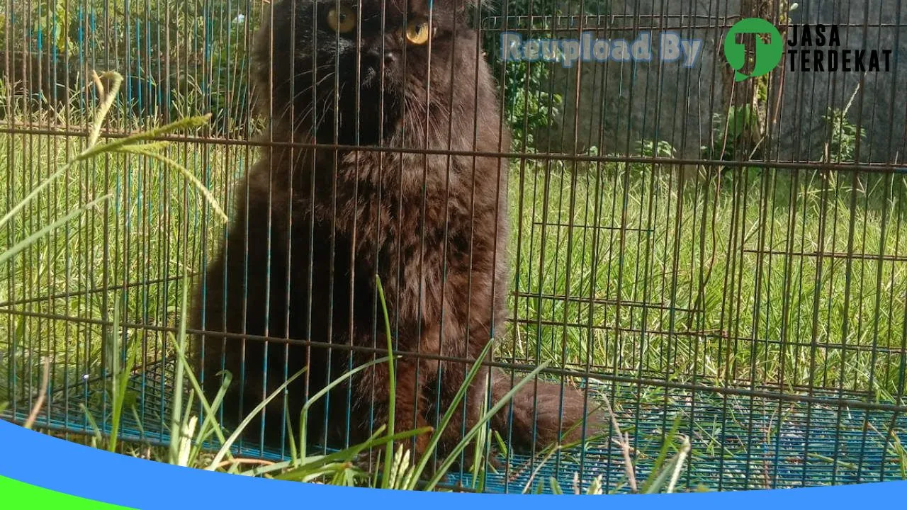 Gambar Ns petshop & pet grooming menes di Pandeglang, Banten ke 2