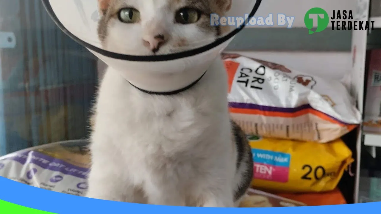 Gambar Tjoeroep Pet Care di Rejang Lebong, Bengkulu ke 3