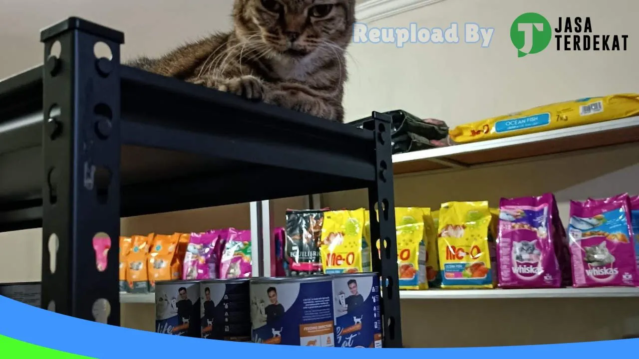 Gambar Yukki Petshop di Pandeglang, Banten ke 1