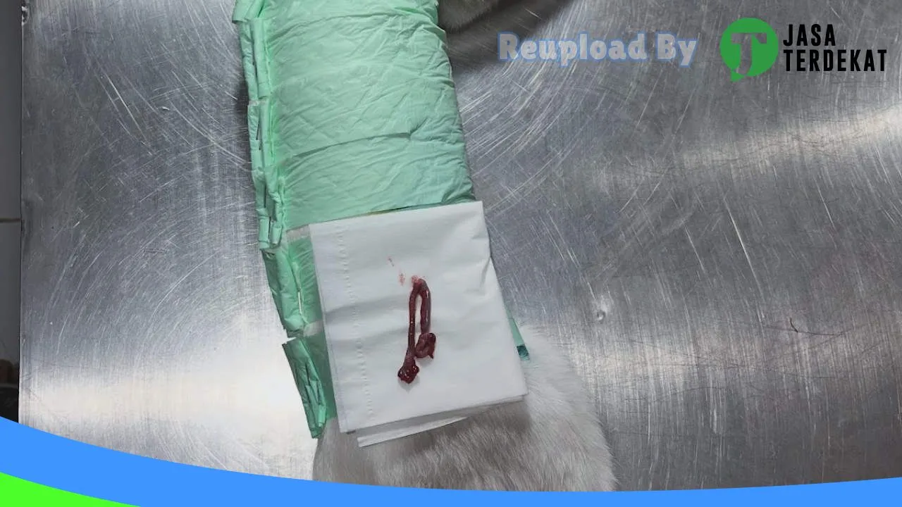 Gambar Klinik Hewan Malinau (Malinau Petcare) di Malinau, Kalimantan Utara ke 3