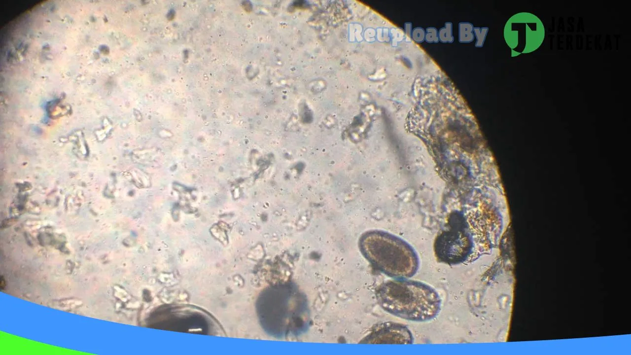 Gambar ichiyo petcare – petshop dan dokter hewan madiun di Kota Madiun, Jawa Timur ke 3