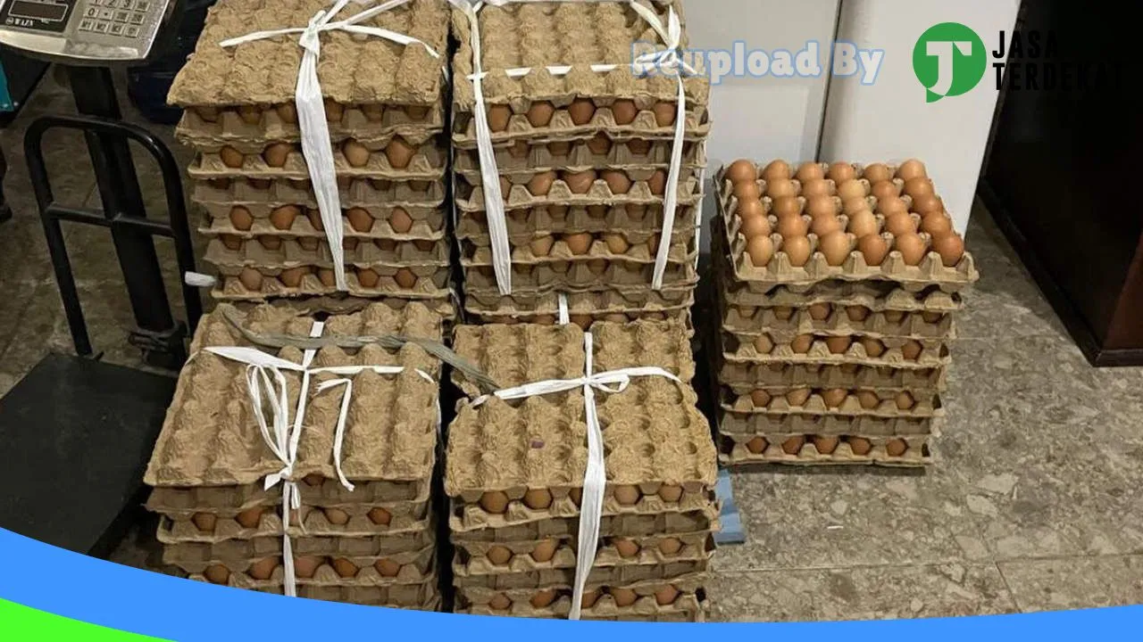 Gambar UD. Pegasus Pet Shop & Poultry Shop (Distributor Pakan Ternak) di Manggarai, Nusa Tenggara Timur ke 3