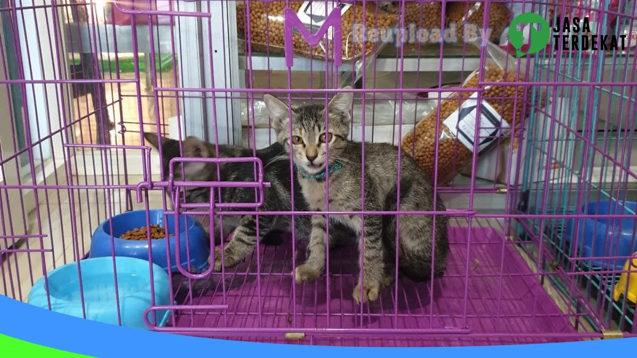 Gambar Petopia Pet Care Yogyakarta 24 Jam di Bantul, DI Yogyakarta ke 4