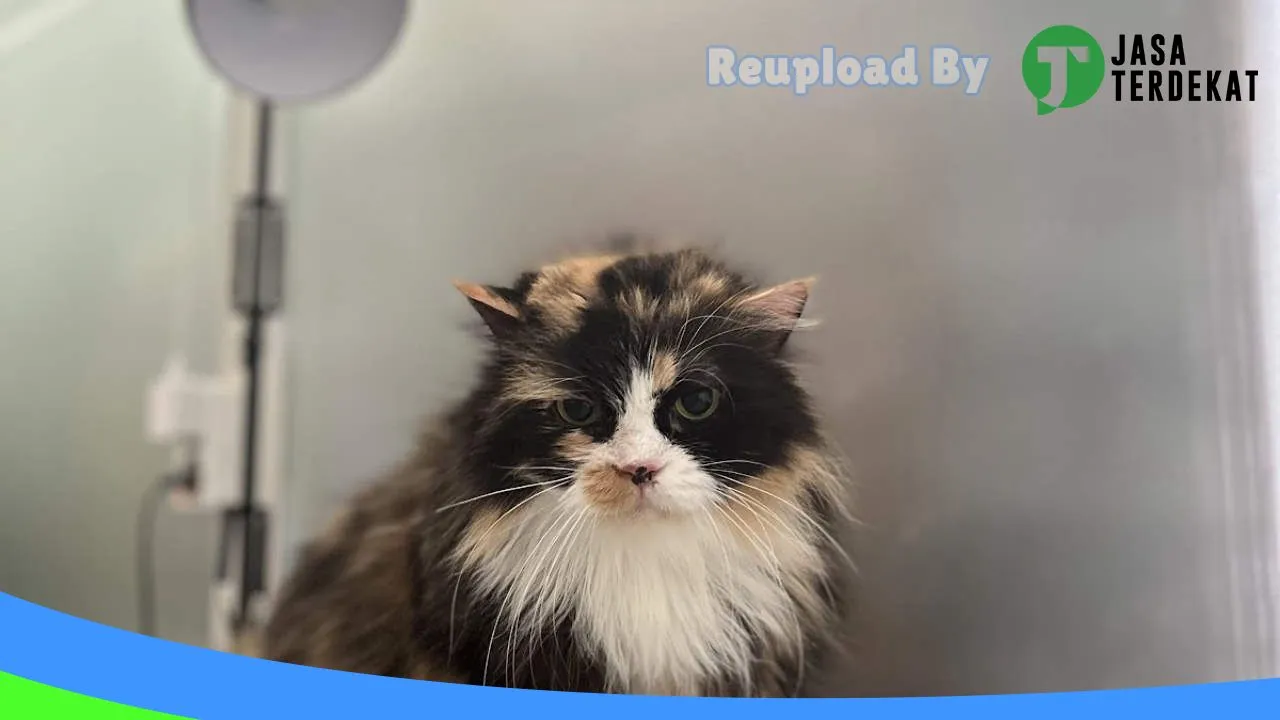 Gambar erby pet care & petshop (Praktek Dokter Hewan Drh. Erdina Pangestika) di Magetan, Jawa Timur ke 4