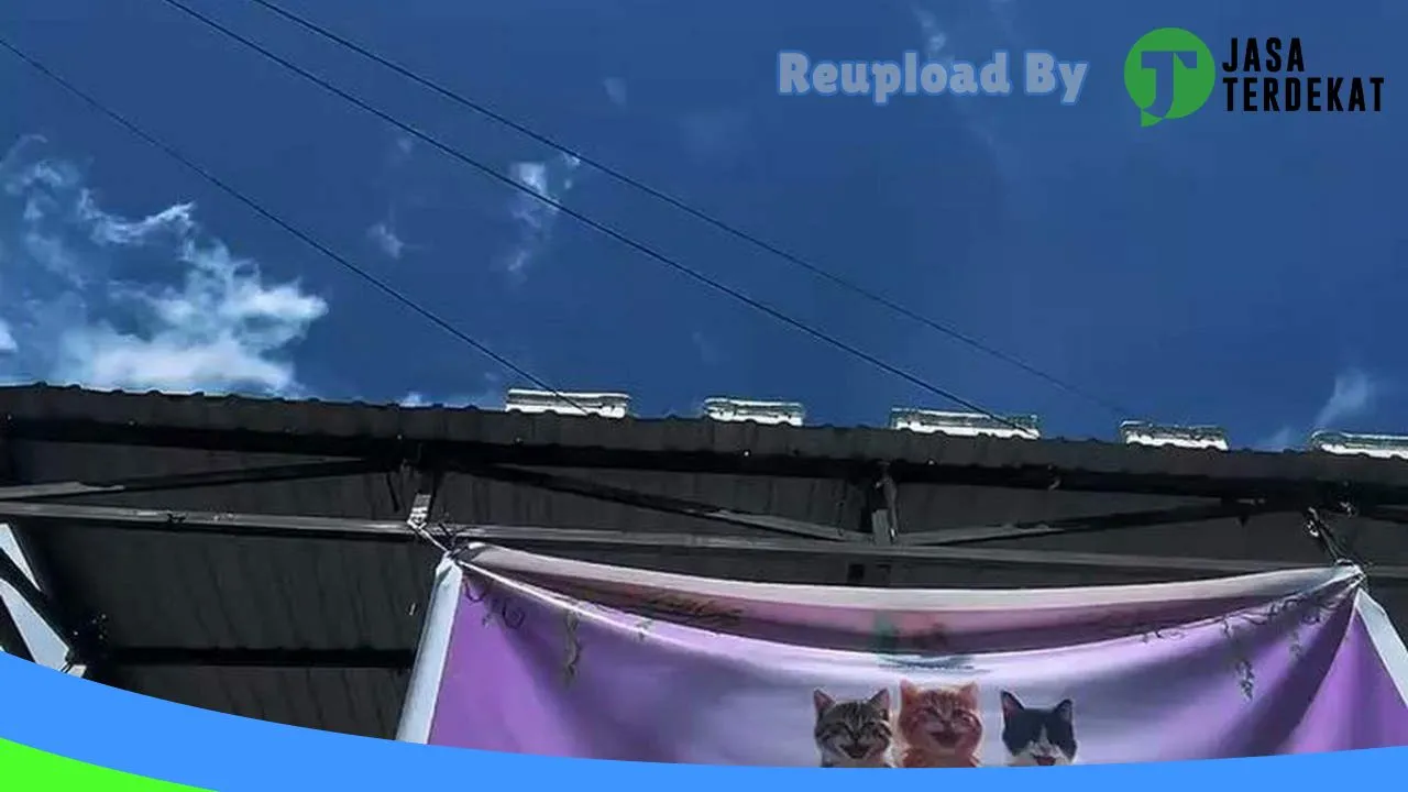 Gambar Mr Chiko Petshop Abepura di Jayapura, Papua ke 1