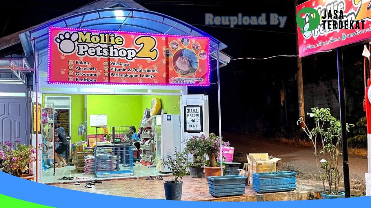 Gambar MOLLIE PETSHOP 2 di Buton, Sulawesi Tenggara ke 4