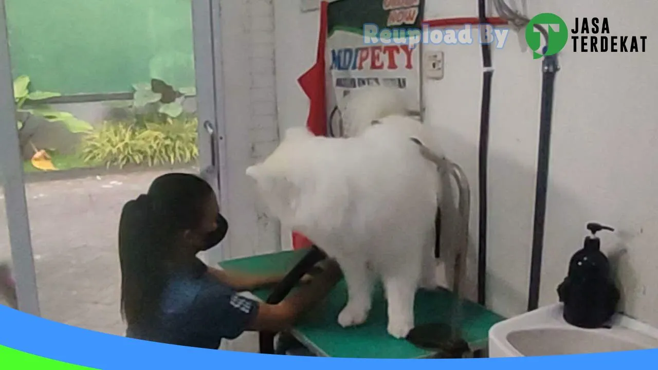 Gambar Vetma Pet and Poultry Shop (praktek dokter hewan nela dan rekan) petshop Blitar dokter hewan blitar di Kota Blitar, Jawa Timur ke 1