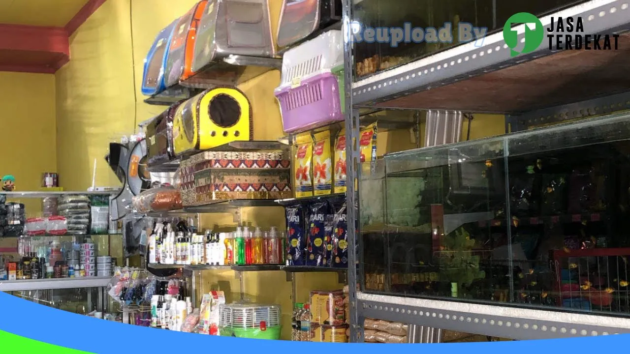 Gambar Monte Petshop Garum, Cat Hotel & Grooming Kucing di Kota Blitar, Jawa Timur ke 2