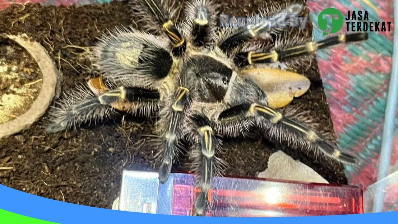 Gambar K28 PetShop di Kota Tasikmalaya, Jawa Barat ke 3