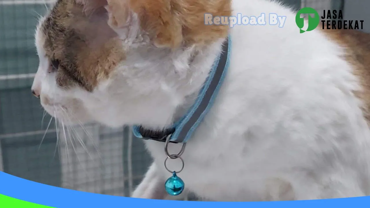 Gambar Tjoeroep Pet Care di Rejang Lebong, Bengkulu ke 1