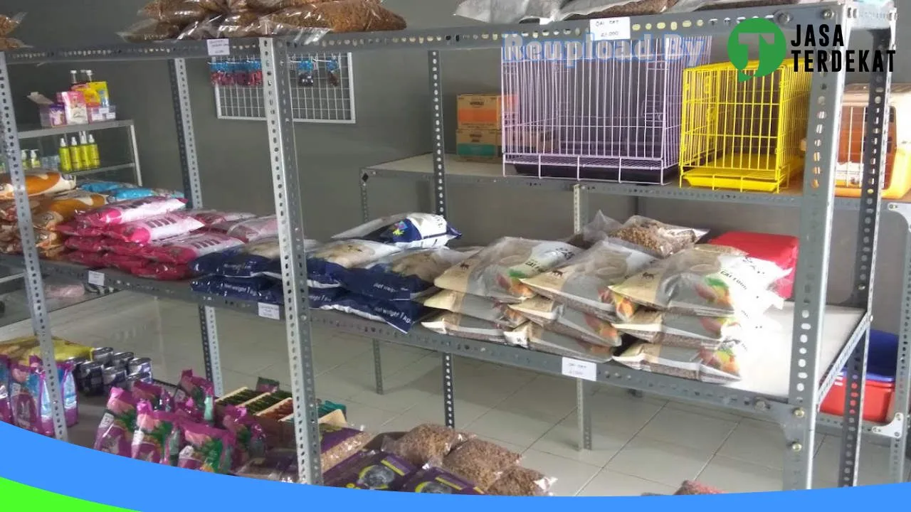 Gambar PAWED CAT petshop di Gunung Kidul, DI Yogyakarta ke 2