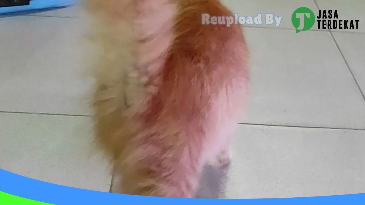 Gambar Honey Petshop di Bintan, Kepulauan Riau ke 1