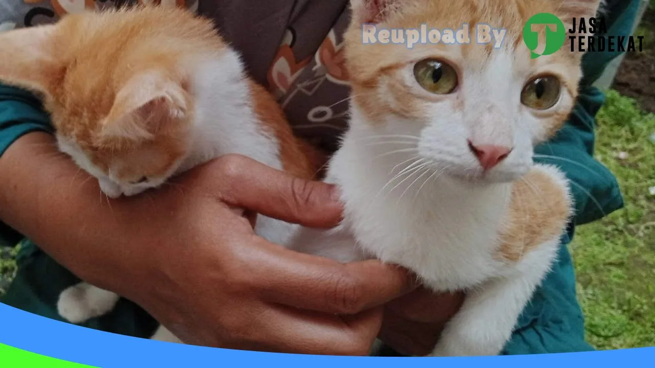 Gambar AMTI Petshop di Klaten, Jawa Tengah ke 3