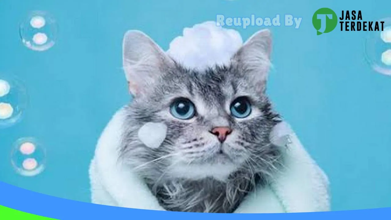 Gambar Kandang Kucing di Tanjungbalai, Sumatera Utara ke 1