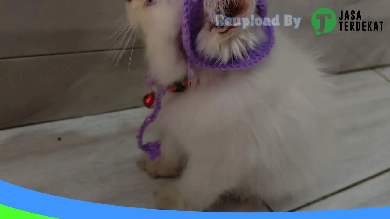 Gambar Ambar Petshop di Hulu Sungai Selatan, Kalimantan Selatan ke 1