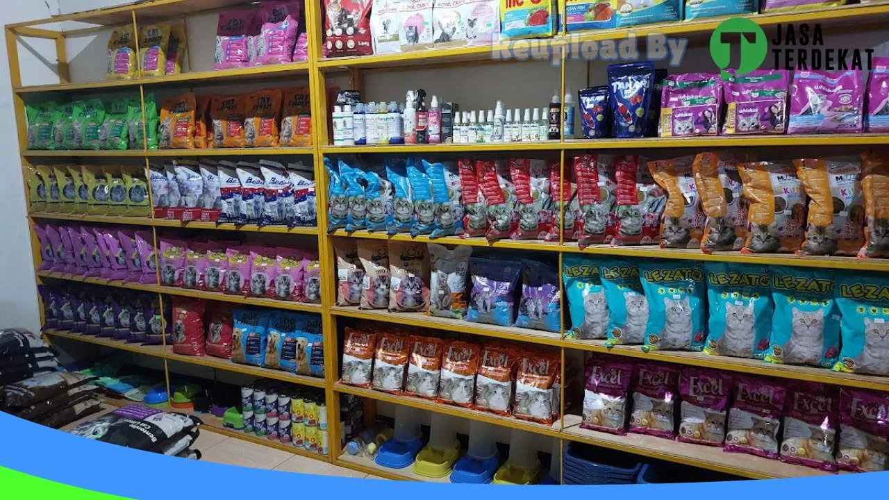 Gambar Momo Pet Shop di Luwu Timur, Sulawesi Selatan ke 1