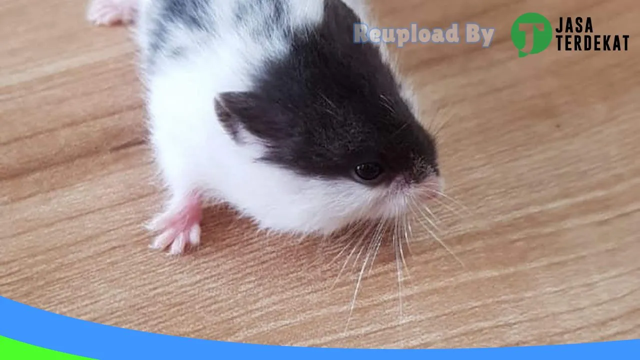 Gambar Lucky Star Petshop di Bandar Lampung, Lampung ke 2