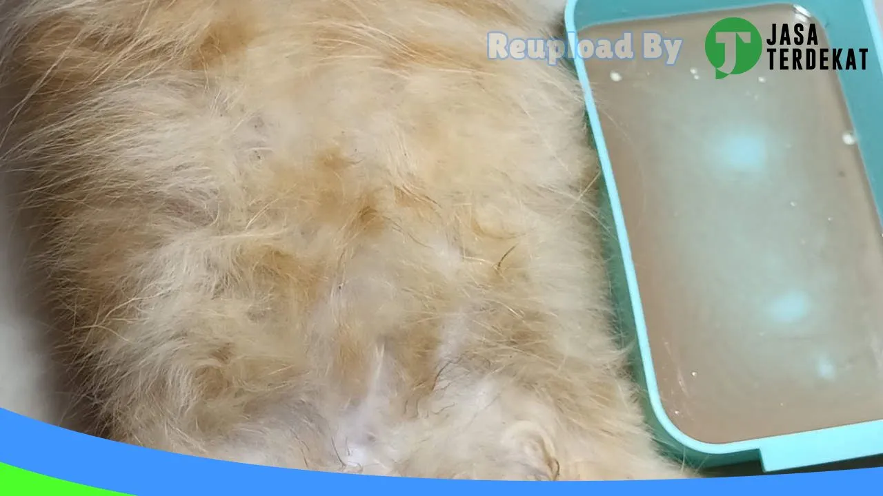 Gambar My pet Paradise Blitar di Kota Blitar, Jawa Timur ke 2