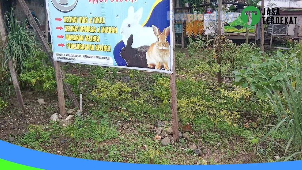 Gambar Uphyk Pondok Kelinci di Morowali, Sulawesi Tengah ke 5