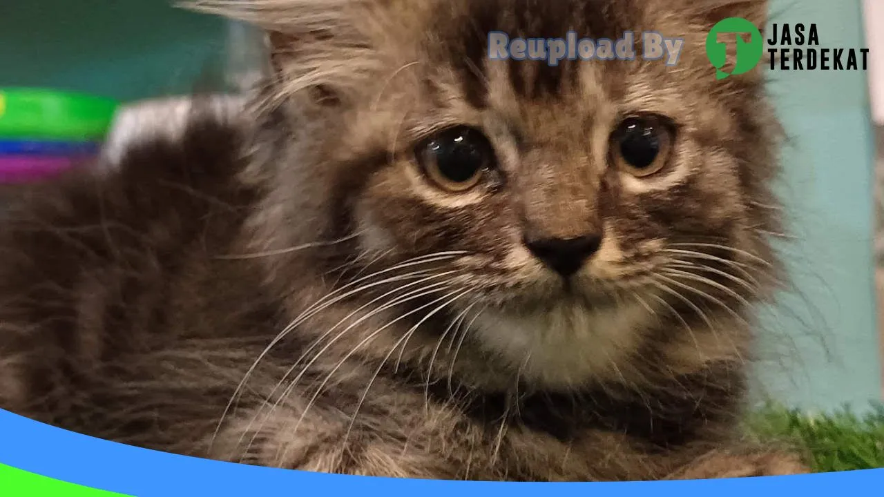 Gambar Papa Petshop Palembang di Palembang, Sumatera Selatan ke 3