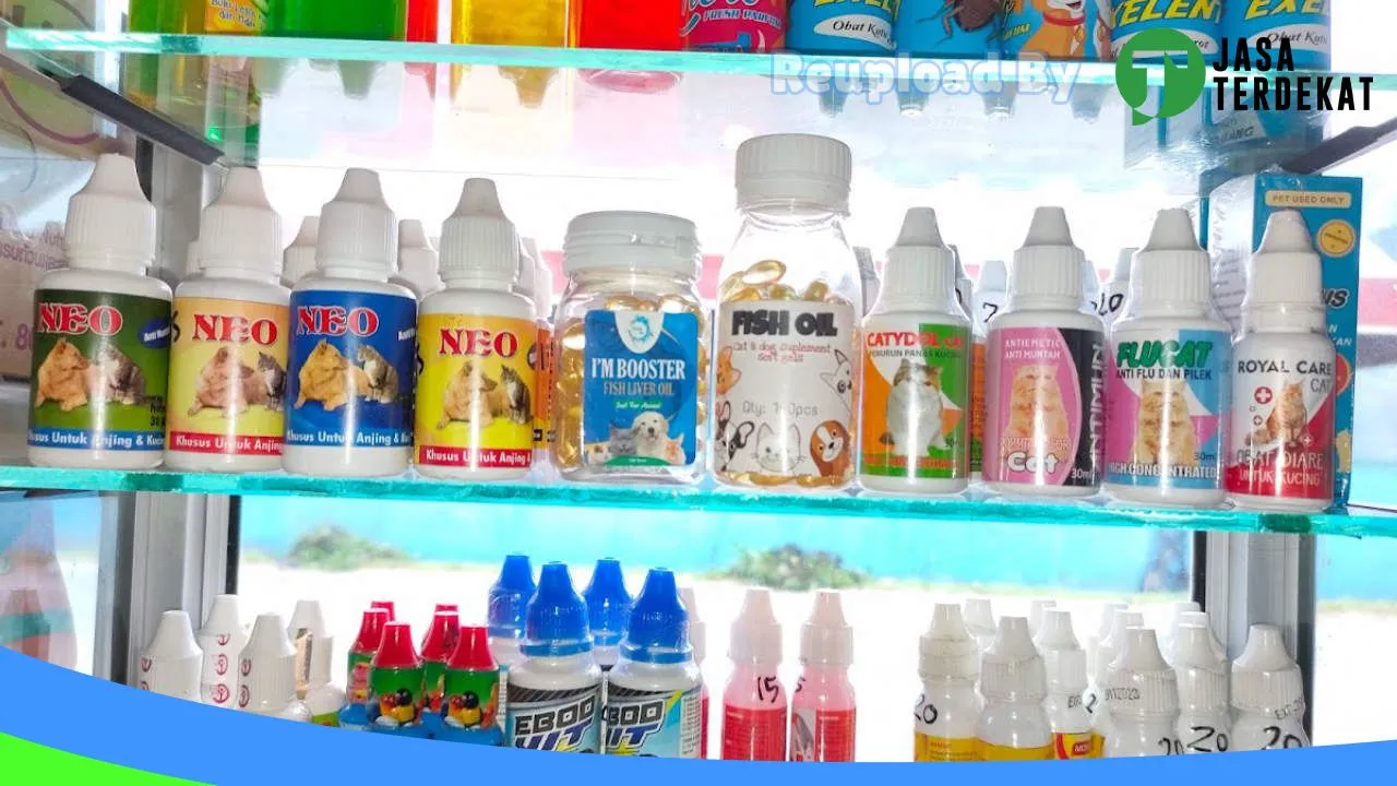 Gambar Chisu Petshop di Kotawaringin Timur, Kalimantan Tengah ke 1