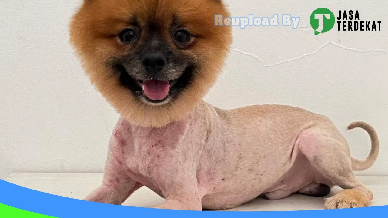 Gambar Savanna Vet Care & Petshop 2 di Timor Tengah Selatan, Nusa Tenggara Timur ke 1