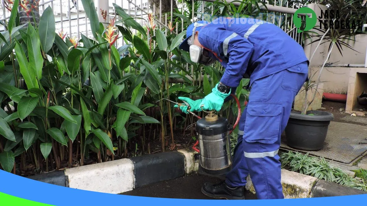 Gambar AAG PEST CONTROL BOGOR di Kota Bogor, Jawa Barat ke 2