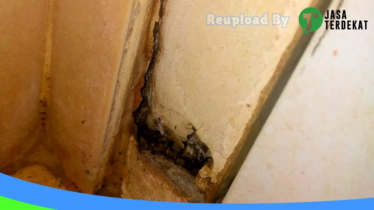 Gambar Jasa Anti Rayap, Pest Control, Basmi Tikus, Basmi Hama, Fogging Nyamuk – Nusantara Pest di Kota Palu, Sulawesi Tengah ke 3