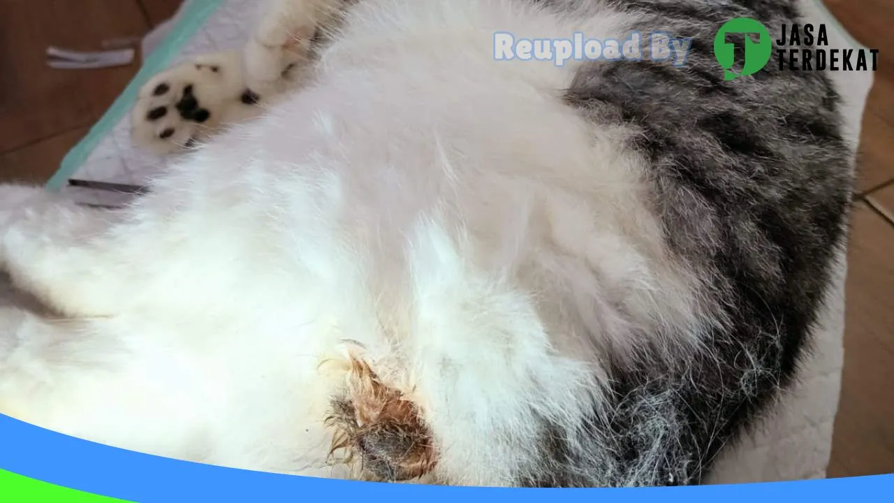 Gambar “Calling Vet” Praktek Dokter Hewan dan Petshop di Jombang, Jawa Timur ke 2