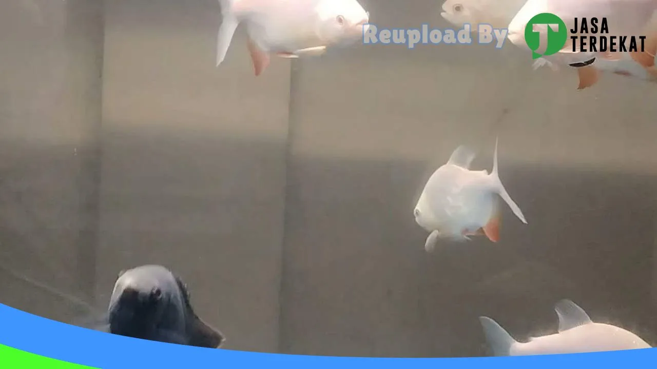 Gambar Mory Aquatic di Kotawaringin Timur, Kalimantan Tengah ke 2