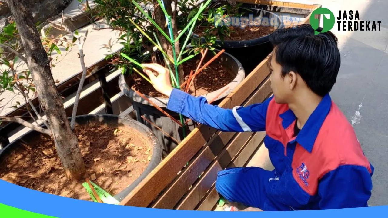 Gambar AAG PEST CONTROL BOGOR di Kota Bogor, Jawa Barat ke 3