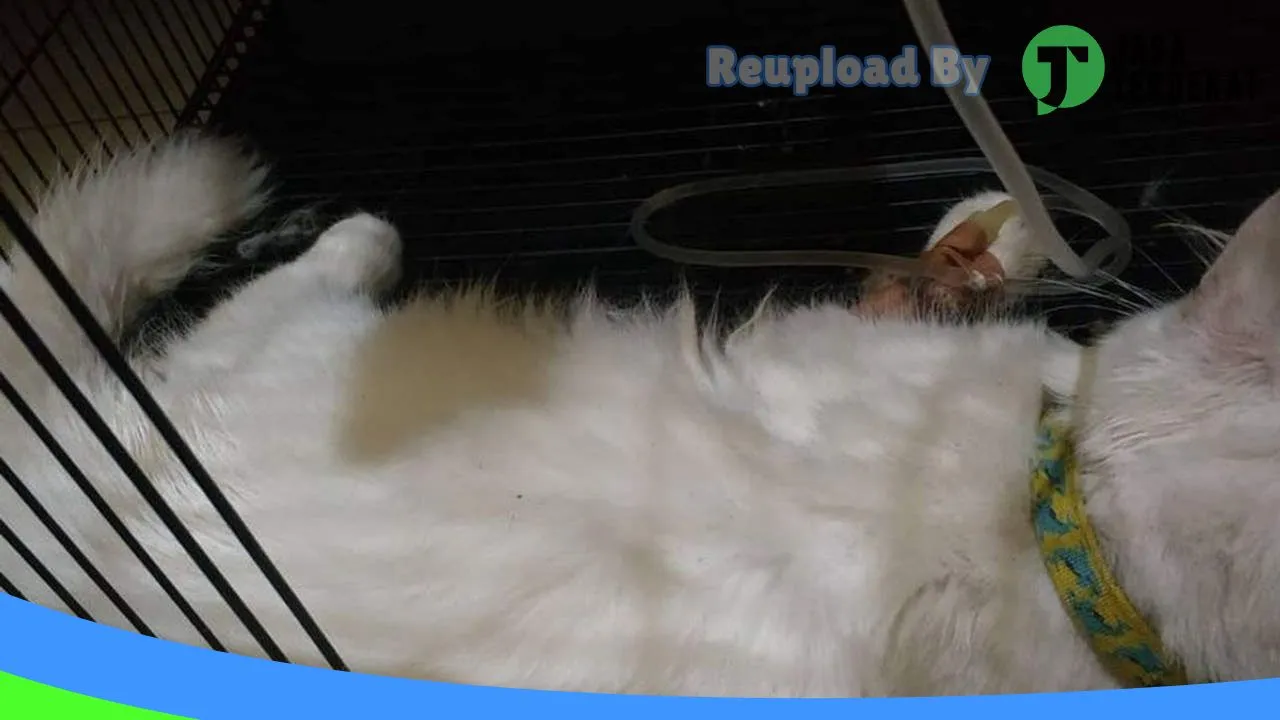 Gambar drh.Trino Yuniarta di Sumenep, Jawa Timur ke 4