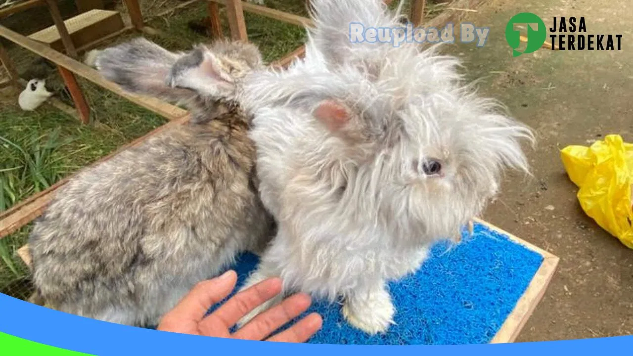 Gambar Rumah kelinci di Bener Meriah, Aceh ke 2