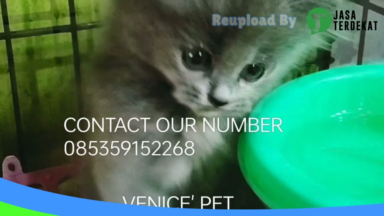 Gambar Venice Petshop di Medan, Sumatera Utara ke 2