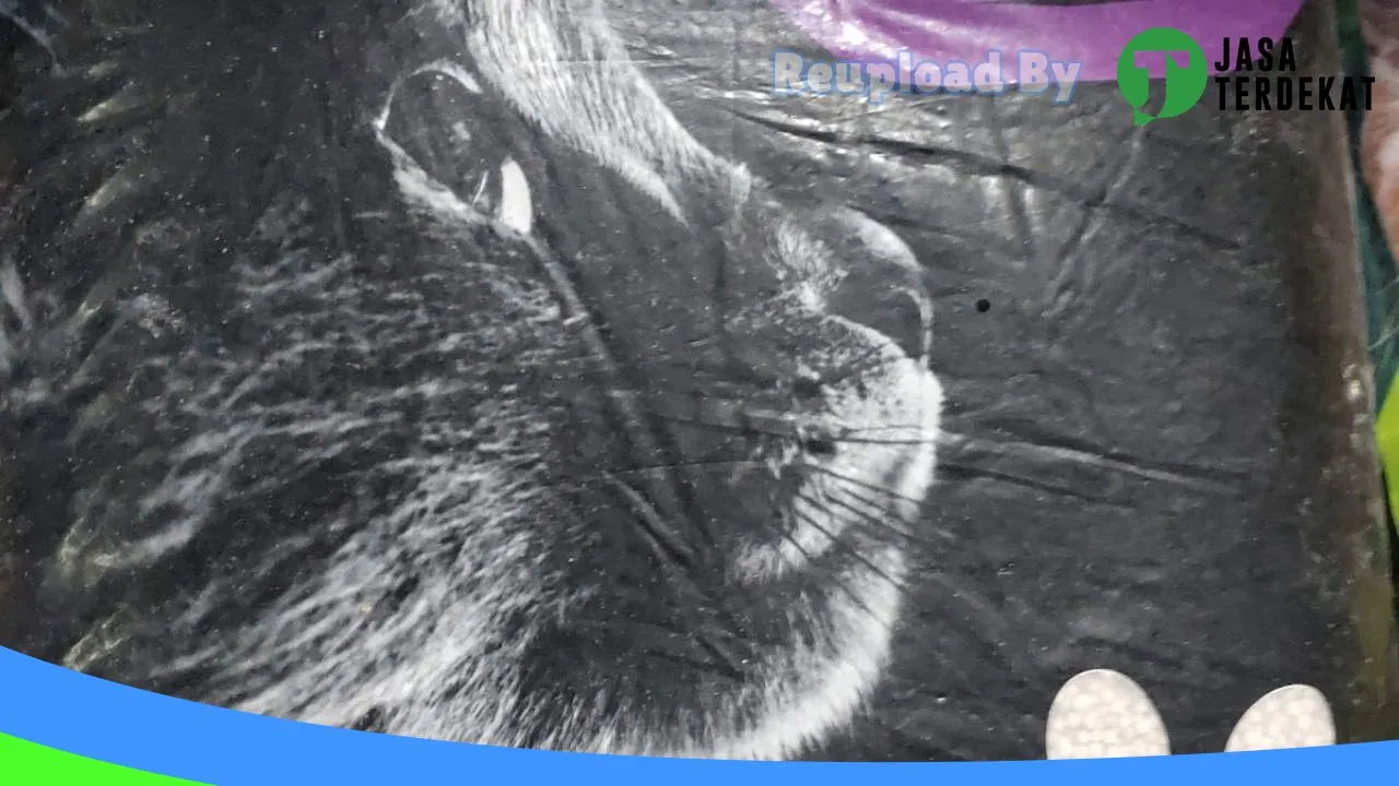 Gambar Toko sanil akuarium dan pet shop di Seram Bagian Barat, Maluku ke 3