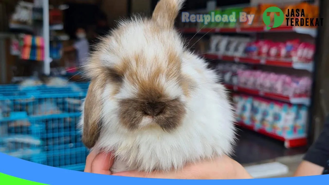 Gambar Cancha Pet Shop Blitar di Kota Blitar, Jawa Timur ke 2