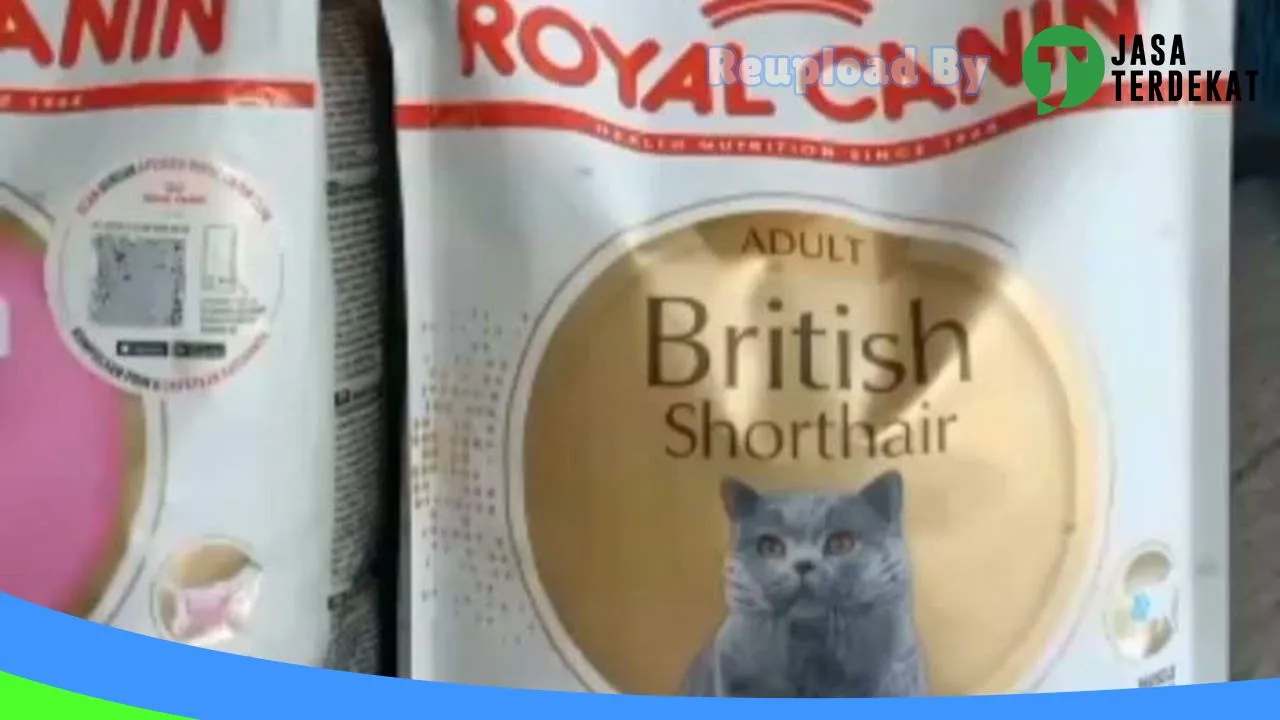 Gambar Bita petshop Menganti di Gresik, Jawa Timur ke 4