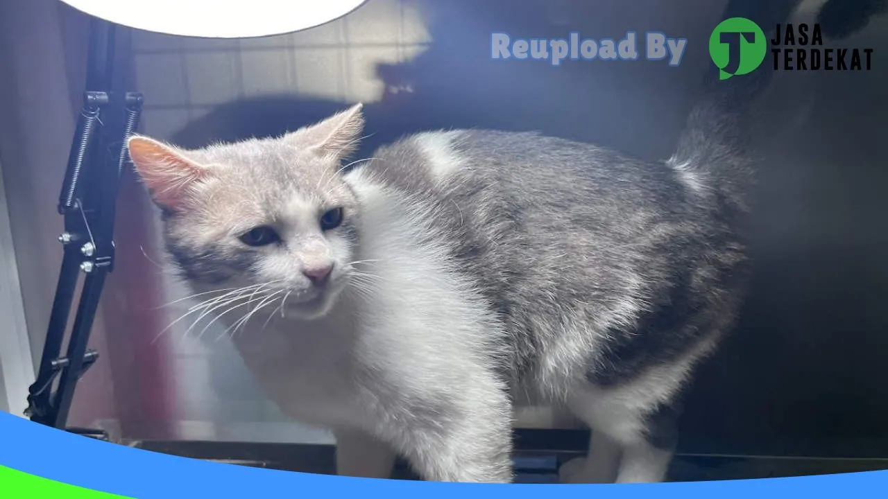 Gambar erby pet care & petshop (Praktek Dokter Hewan Drh. Erdina Pangestika) di Magetan, Jawa Timur ke 2