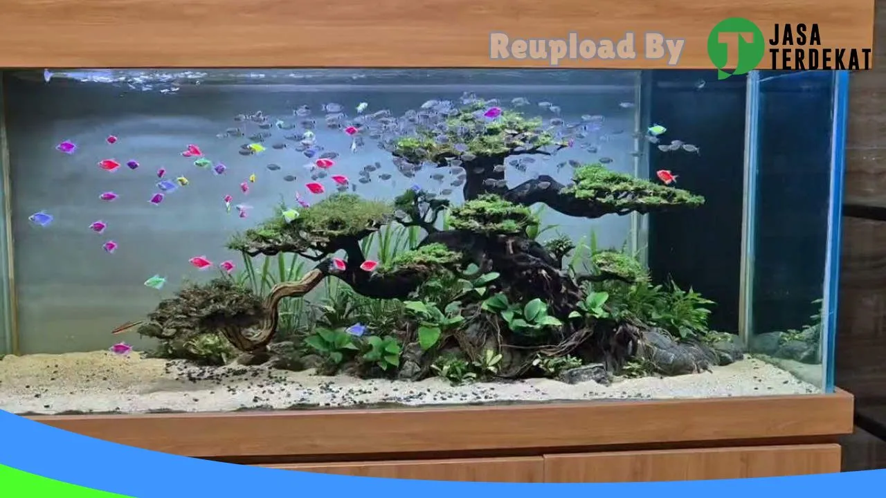 Gambar Rahayu Aquascape di Ngawi, Jawa Timur ke 1