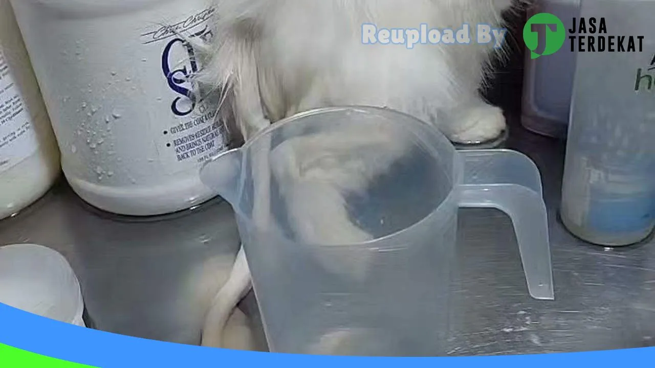 Gambar Mugen asolole petshop & groomer hewan di Hulu Sungai Tengah, Kalimantan Selatan ke 1