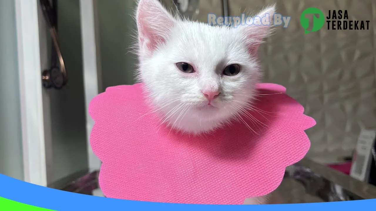 Gambar erby pet care & petshop (Praktek Dokter Hewan Drh. Erdina Pangestika) di Magetan, Jawa Timur ke 3