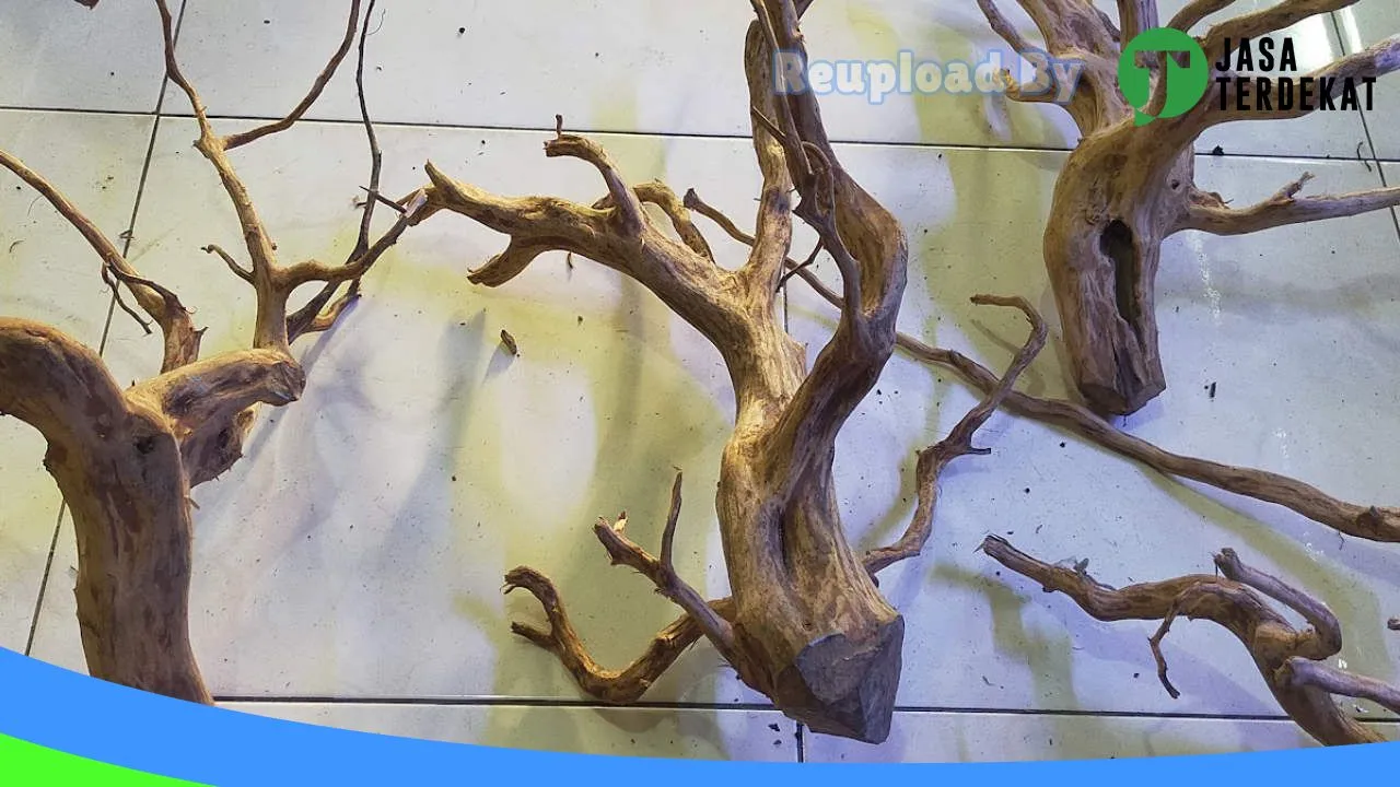 Gambar petshop punggur di Lampung Tengah, Lampung ke 3