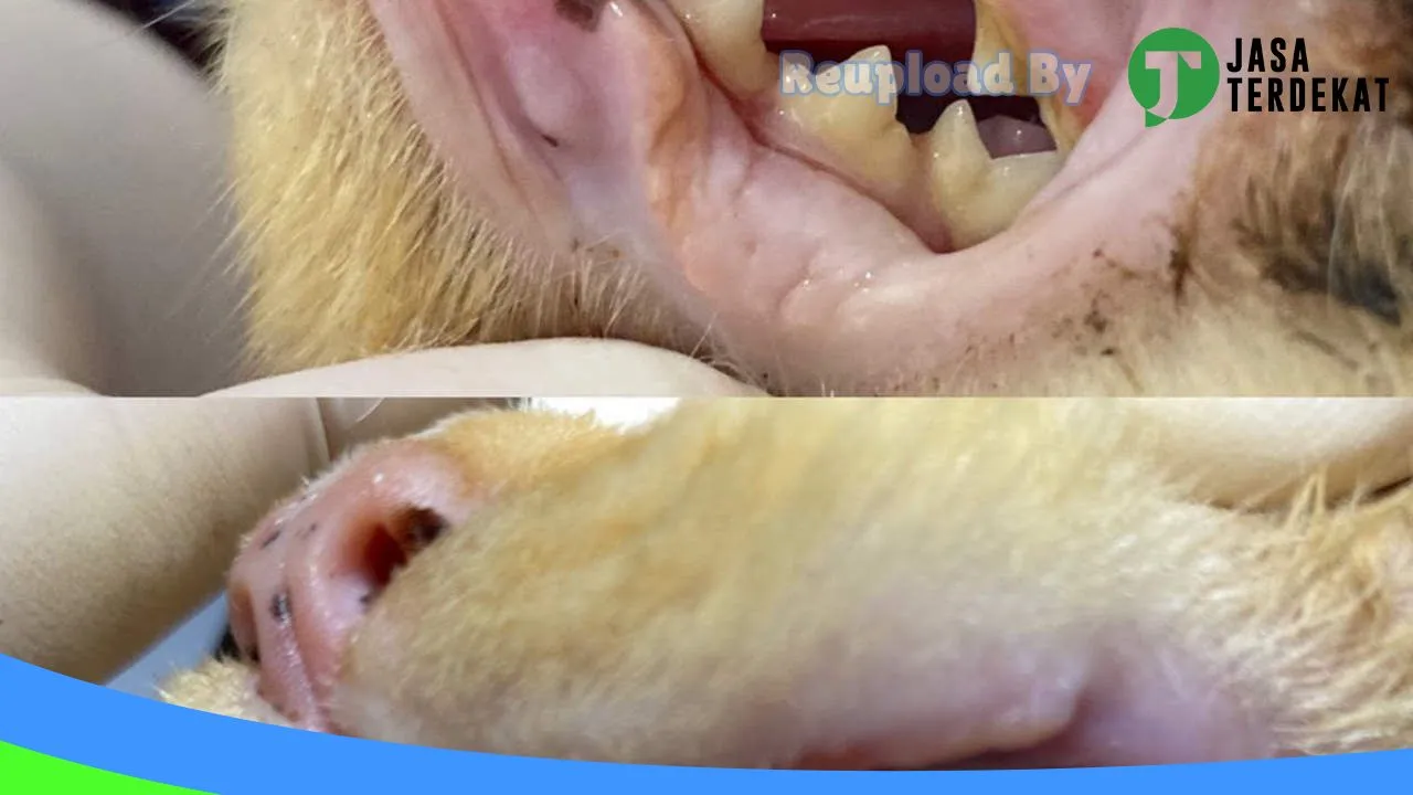 Gambar Praktek Dokter Hewan Radix Animal Care di Tanah Bumbu, Kalimantan Selatan ke 3