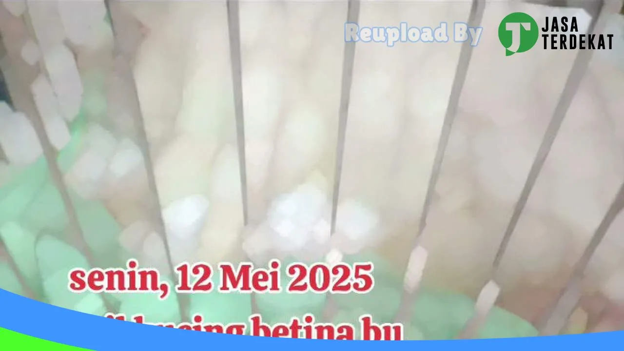 Gambar YY petshop transito drh zahro di Sragen, Jawa Tengah ke 2