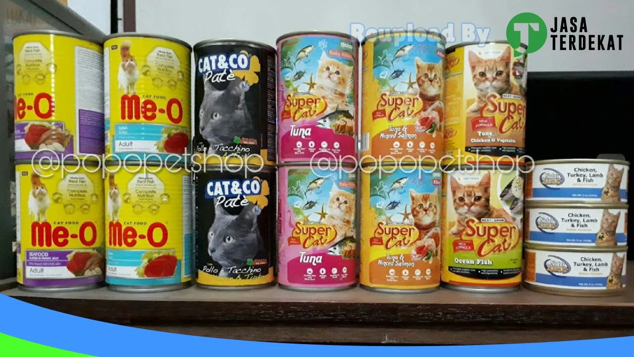 Gambar POPO PETSHOP di Tegal, Jawa Tengah ke 1