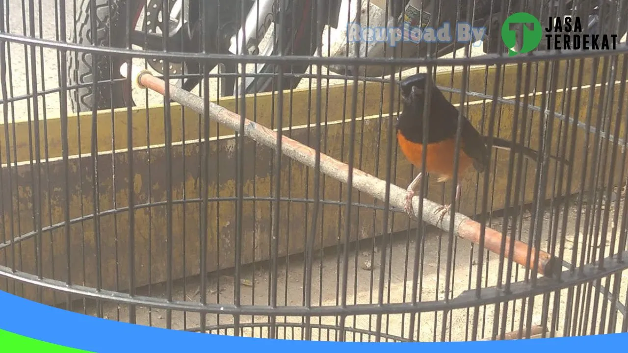 Gambar Bird Shop Mas Adul Khan di Tapanuli Selatan, Sumatera Utara ke 3