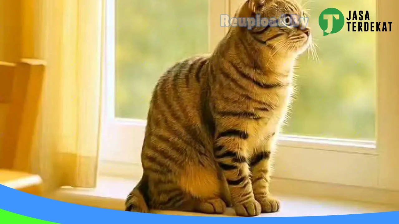 Gambar Pet shop CKM di Karawang, Jawa Barat ke 3