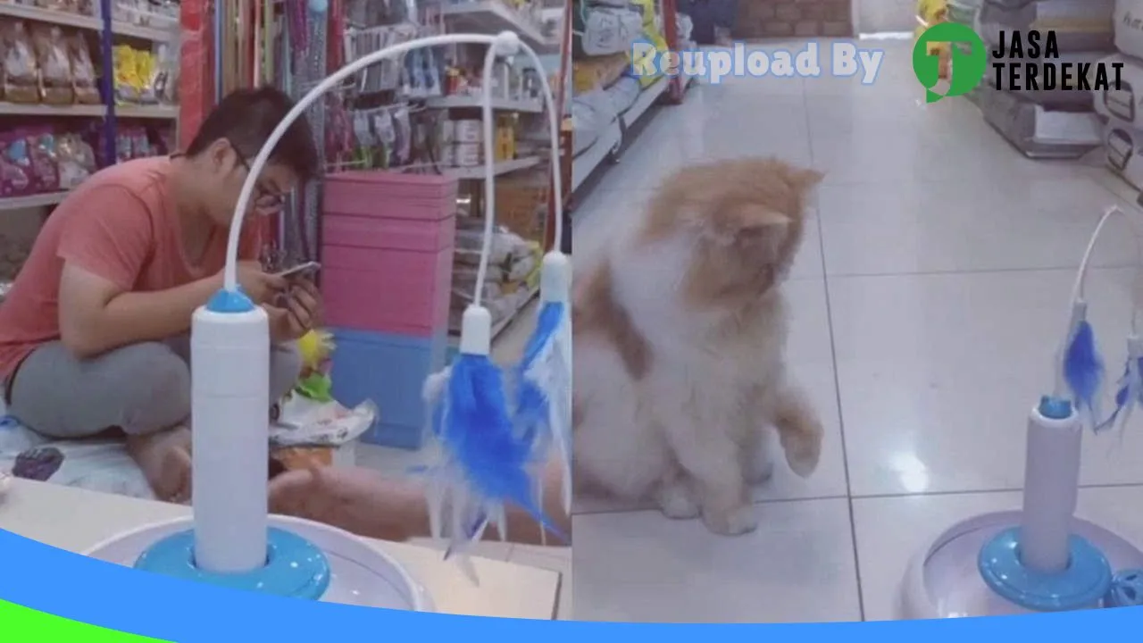 Gambar DREEY PETSHOP di Rejang Lebong, Bengkulu ke 1