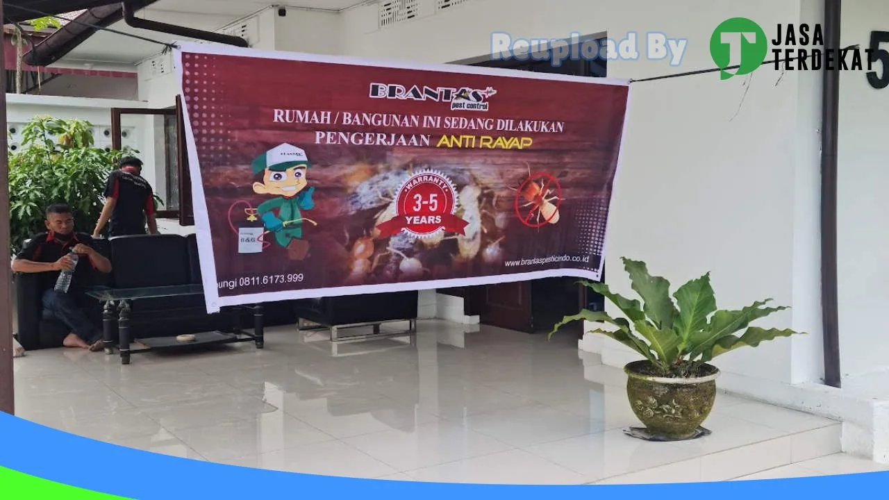 Gambar Anti Rayap | Jasa Fogging Nyamuk | Jasa Pest Control | Kutu Busuk | Pembasmian Lebah | CV.BRANTAS PESTICINDO di Tebing Tinggi, Sumatera Utara ke 3