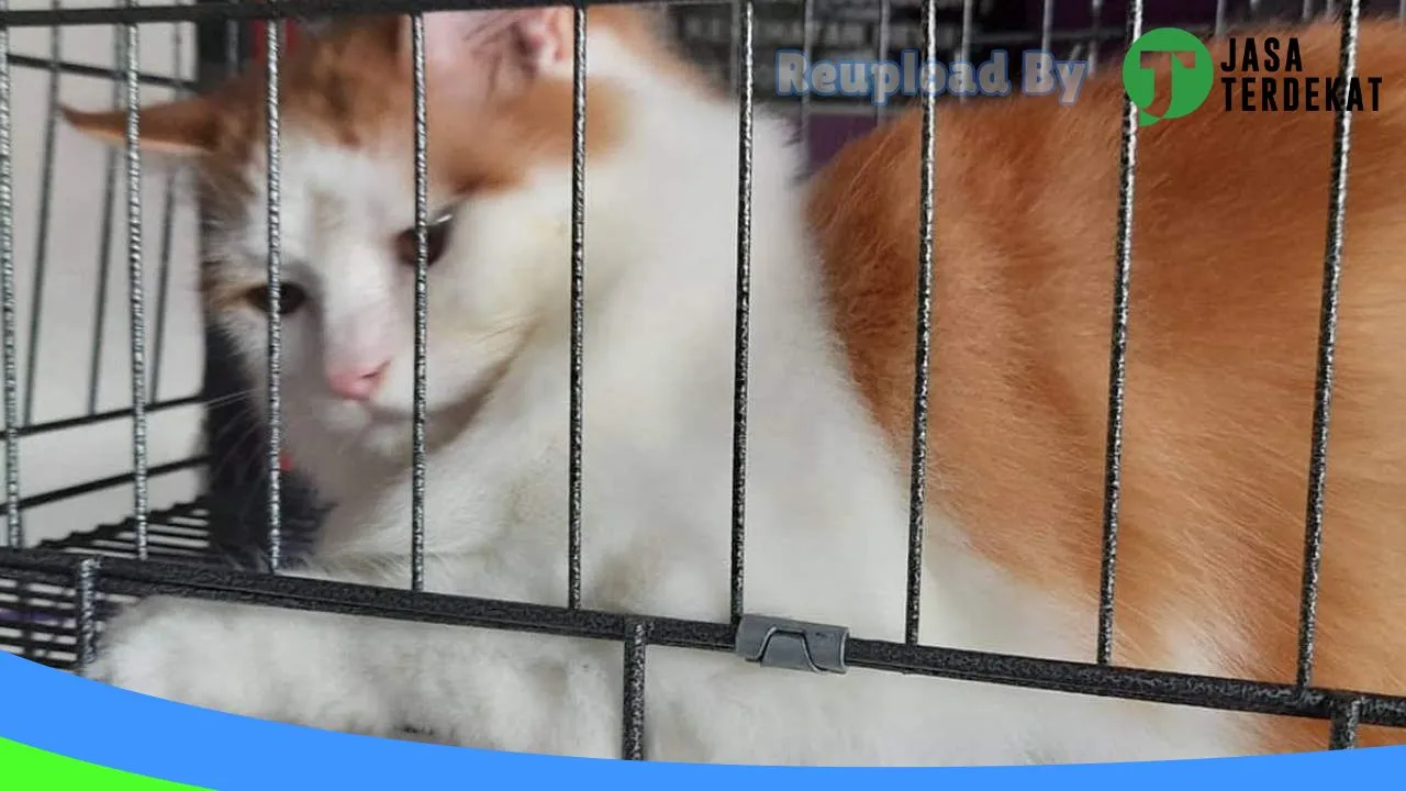 Gambar Rumah Satwa Pet Shop & Klinik Batusangkar di Tanah Datar, Sumatera Barat ke 3